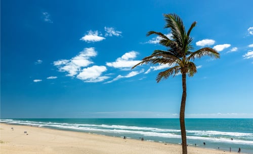 Brazil presents a compelling investment opportunity with its economic surge propelling it towards global powerhouse status. Coupled with an attractive exchange rate of 5 Brazilian Reals to 1 USD, investors can leverage the burgeoning market at an accessible price, enjoying the benefits of a stretched US or Canadian dollar. The country's tourism boom is driving demand for vacation rentals and second homes, promising high occupancy rates and rental income potential. Enhanced infrastructure, including new airports and expanded highways, not only improves connectivity but also elevates property values in beachfront developments. With limited availability of beach lots and a growing market for second homes, the potential for substantial capital appreciation is evident. Additionally, the flourishing tourism industry fuels demand for short-term rentals, offering attractive returns on investment. Savvy investors can capitalize on Brazil's growing popularity and secure long-term financial gains in this thriving market.